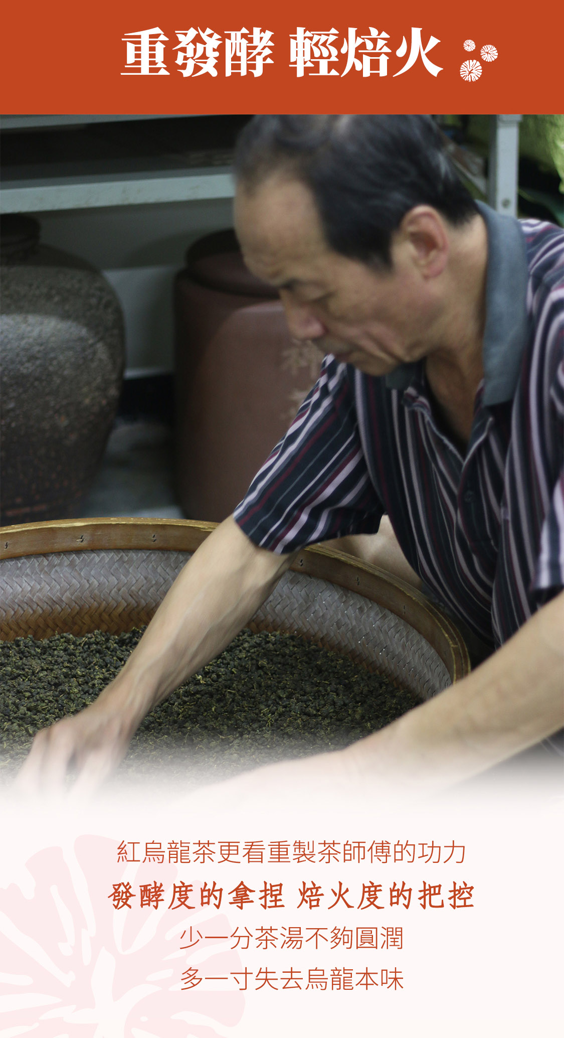 500-炭焙紅烏龍_07