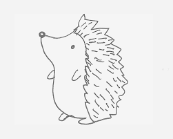 Picture of 小紀